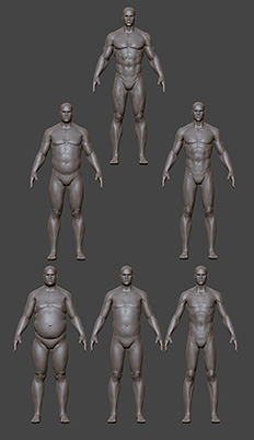 Male physique types