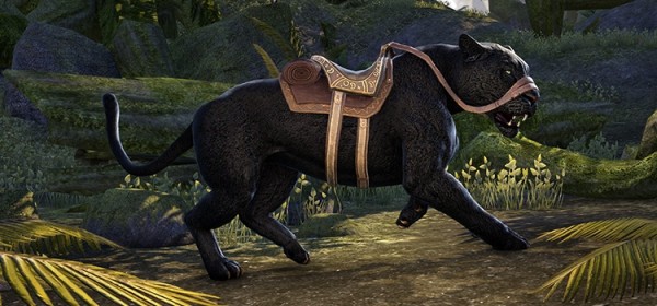 Черная сенч-пантера2500