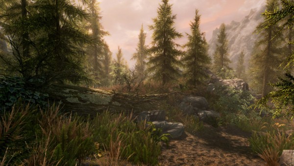 Скриншот Skyrim Special Edition