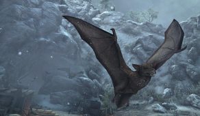 Shadowswift Bat | Стремительная летучая мышь теней
